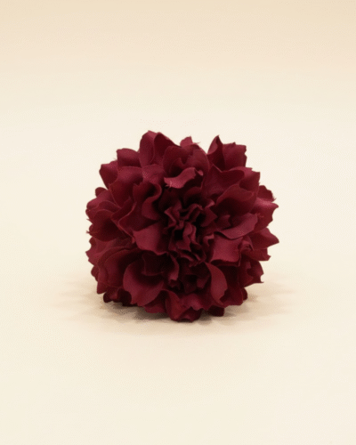 Peonia Pequeña Burdeos