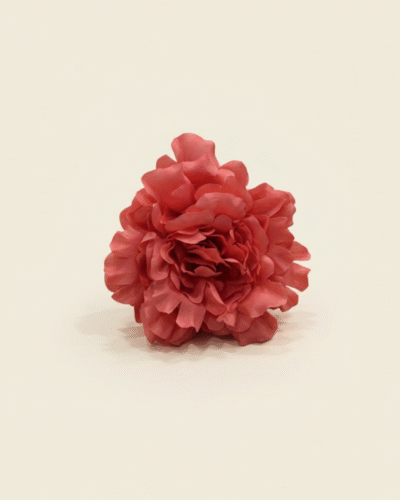 Peonia Grande Coral