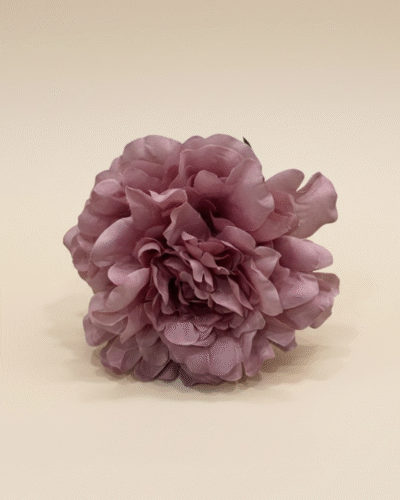 Peonia Pequeña Rosa