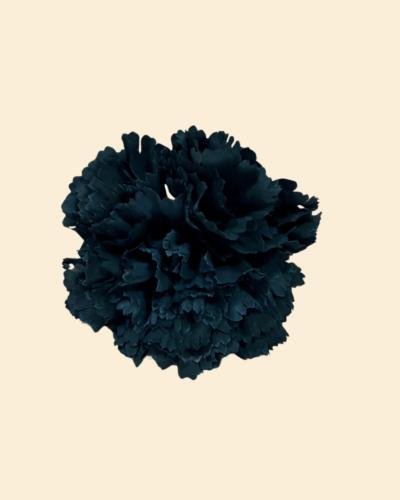 Ramillete 3 Claveles Azul Petróleo